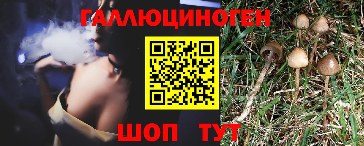 Псилоцибиновые грибы прущие грибы Томск
