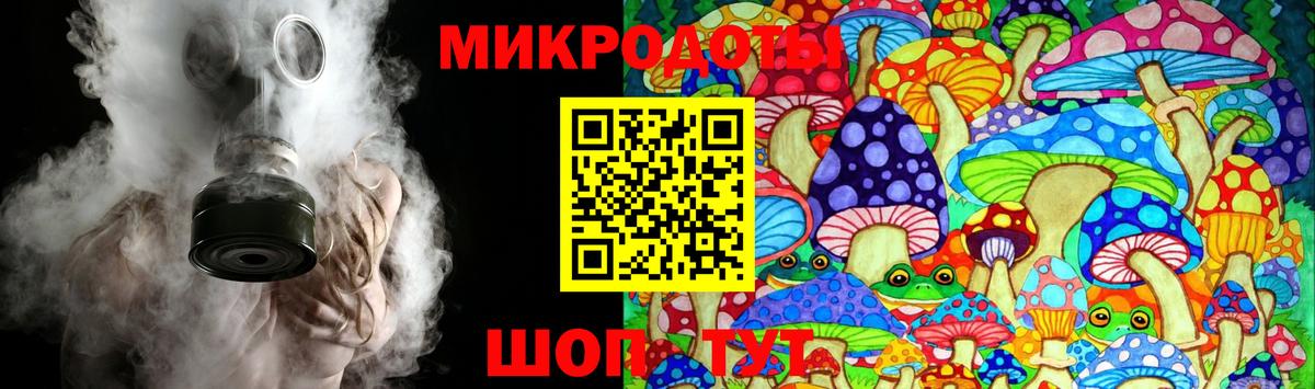 Псилоцибиновые грибы GOLDEN TEACHER  Вход с VPN  наркотики  Томск  Псилоцибиновые грибы мицелий 